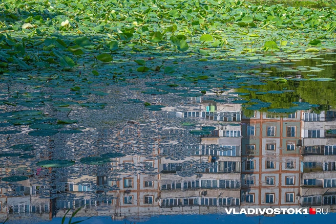 Источник: Елена Буйвол / VLADIVOSTOK1.RU
