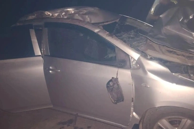 В Первомайском районе Toyota Corolla столкнулась с лошадью