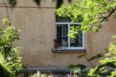 Житель Башкирии оформил квартиру спустя 35 лет