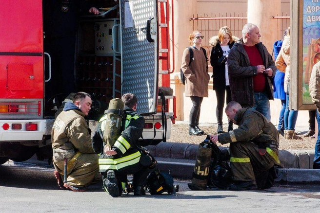 Источник: Ксения Зимина