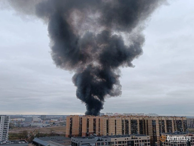 Пламя полыхает на юге Московского района: фото, видео | Источник: читатель «Фонтанки»