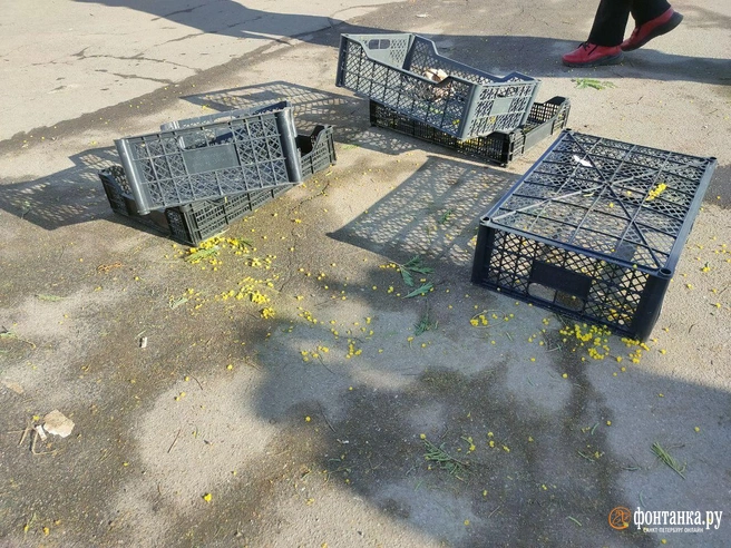 Источник: «Фонтанка.ру»