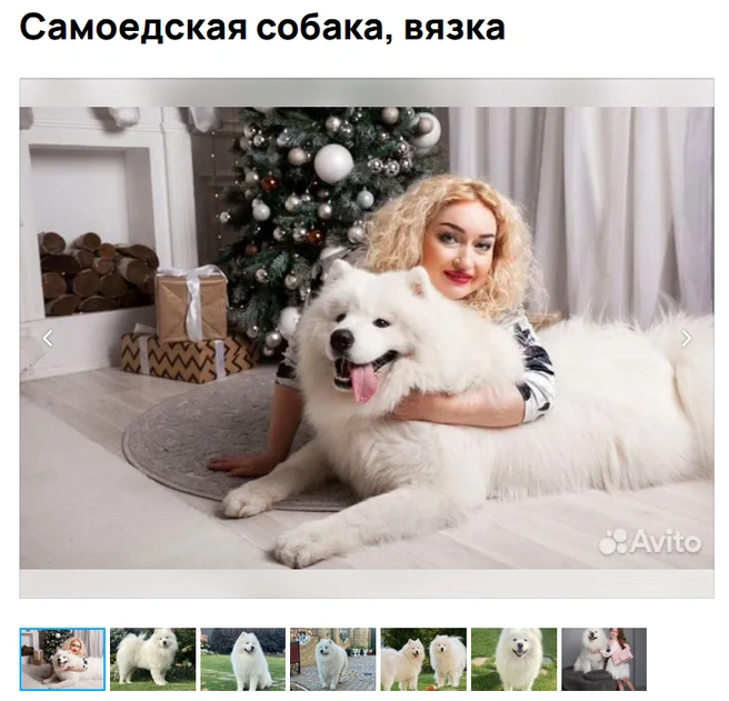 Устал обниматься | Источник: Avito.ru