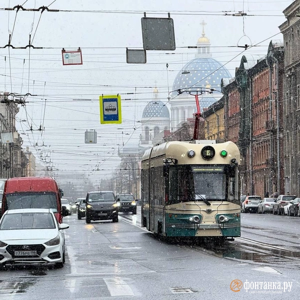 Снег идет, почки набухают. В Петербурге весенняя погода уступила зимней | Источник: Валентин Егоршин / «Фонтанка.ру»