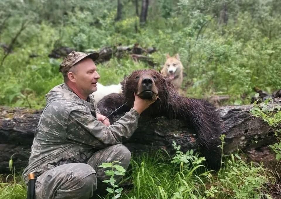 Таежный город в медвежьей осаде. Добровольцы создали «группу зачистки» от зверей — на ее счету почти 60 хищников