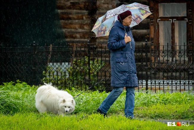 В воскресенье лучше не выходить из дома без зонта | Источник: Владислав Лоншаков / E1.RU