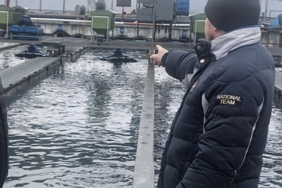 Раскрыта кража рыбы с форелевого хозяйства в Кировском районе