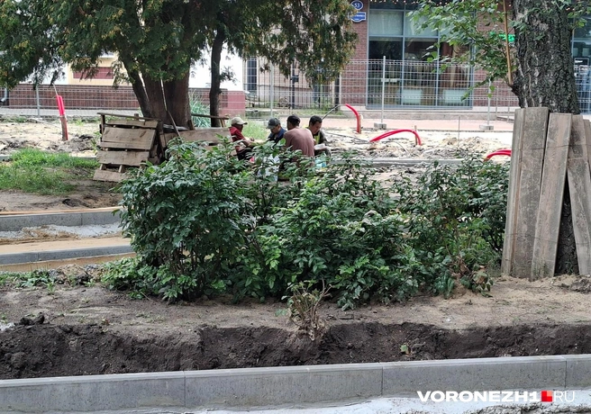 Источник: Алёна Воропаева / Voronezh1.ru