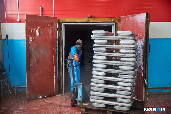 Рыбу замораживают двумя способами: шоковой заморозкой и плитками | Источник: Александр Ощепков / NGS.ru