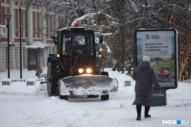 Источник: Александр Ощепков / NGS.RU