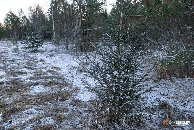 Штрафы могу достигать до полумиллиона | Источник: Александр Гальперин / FONTANKA.RU