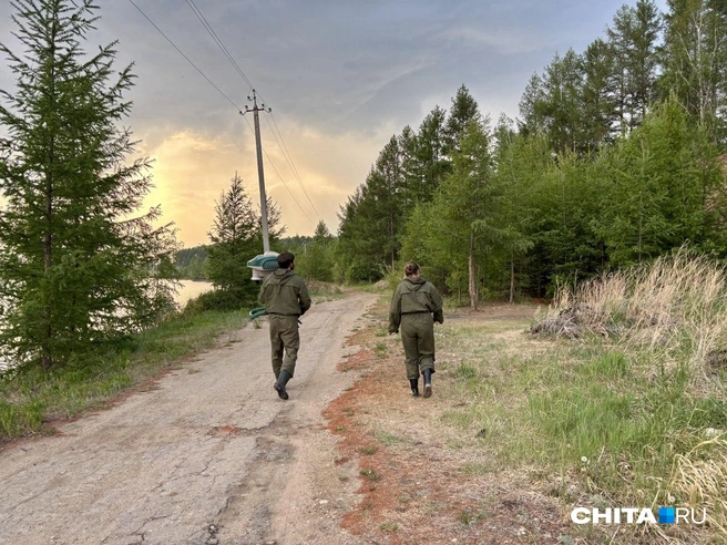 Источник: Артем Стромилов / CHITA.RU