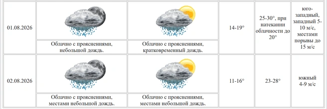 На выходных в Зауралье до +28°., +30°. Облачно с прояснениями и небольшой дождь | Источник: kurganpogoda.ru 