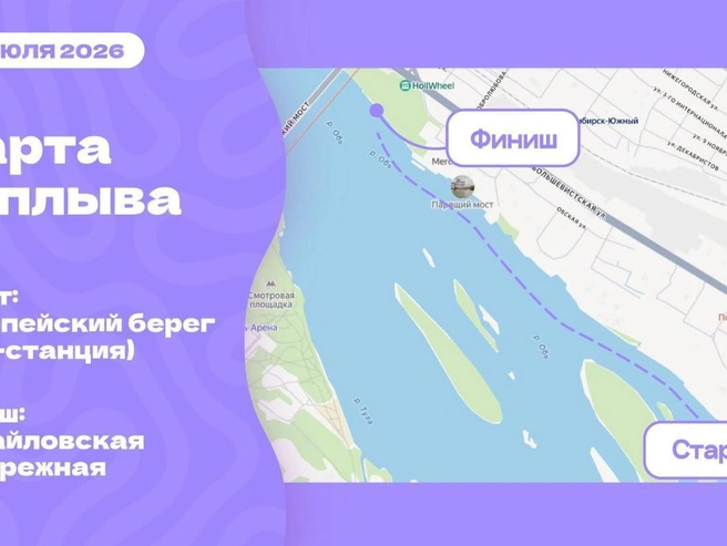 Заплыв длиной три километра обычно занимает около 2,5 часов | Источник: NGS.RU