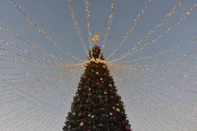 Главная елка Мурманска: место и программа