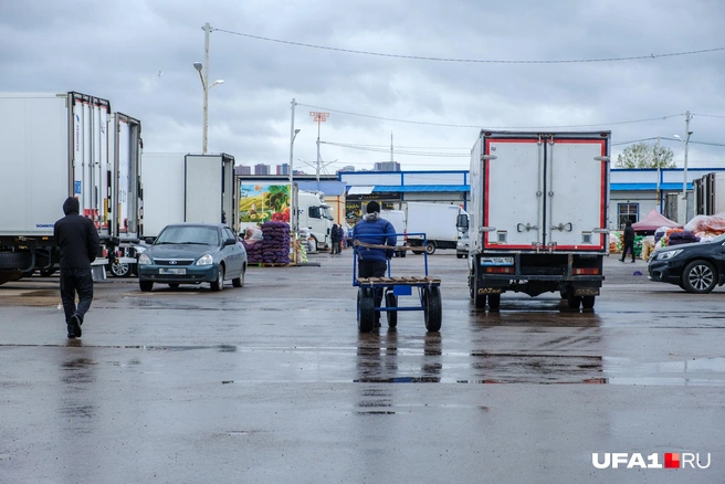 Говорят, тут вам и фарш накрутить могут | Источник: Булат Салихов / UFA1.RU