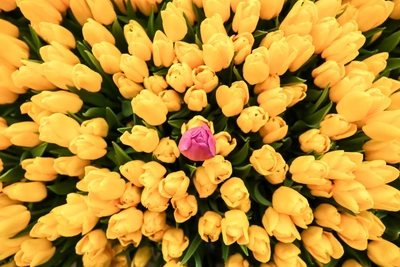 Поликарпов день: почему женщинам не стоит собираться 8 марта