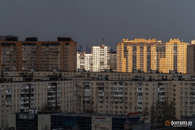 Договорились. Суд в Петербурге впервые прекратил дело о возврате квартиры по «схеме Долиной» | Источник: Михаил Огнев / FONTANKA.RU