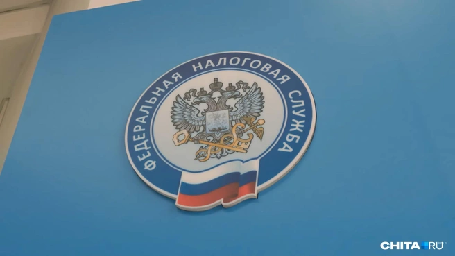 Если ничего не нарушать, то налоговая будет благосклонна | Источник: CHITA.RU