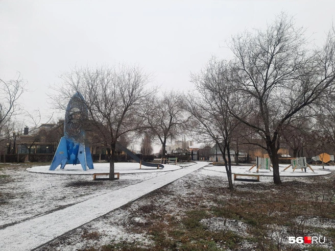 В Оренбурге выпал и почти сразу растаял первый снег | Источник: Анастасия Баринова / 56.RU
