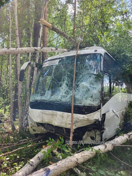 В Братске пассажирский автобус врезался в УАЗ и снес деревья на обочине. | Источник: телеграм-канал мэра Братска Александра Дубровина