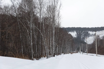 Шестой день поисков бывшего силовика на Красноярских Столбах