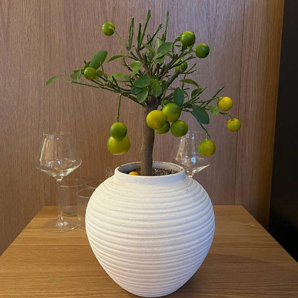 Источник: Дмитрий Грозный / «Фонтанка.ру»