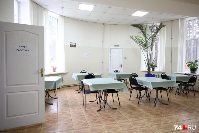 По словам родителей, мышей в столовой колледжа видели неоднократно | Источник: Наталья Лапцевич / 74.RU