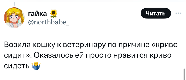 В «Твиттере» делятся тупыми причинами, по которым возили животных в ветеринарные клиники. И это уморительно!