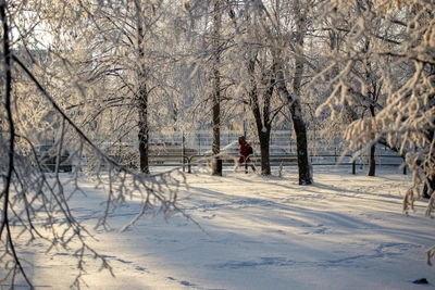Meteorologists forecast warming for Tolyatti and Samara region