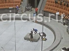 Запашный показал, что случилось с гимнастом в цирке — видео падения