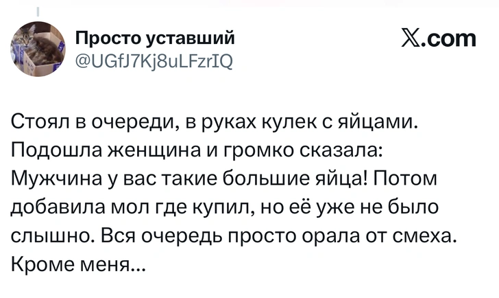 Источник: X (Twitter)