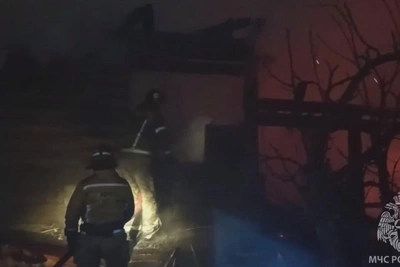 Pets Killed in Fire Near Gatchina