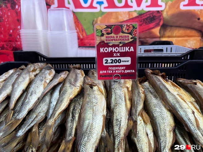 Источник: Кристина Полевая / 29.RU
