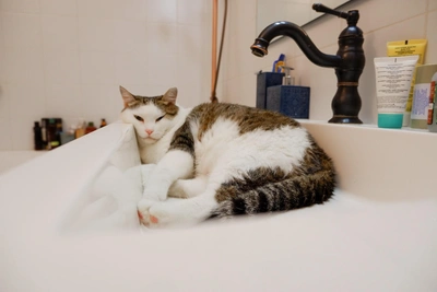 Tomsk Accident Leaves Over 200 Homes Without Water