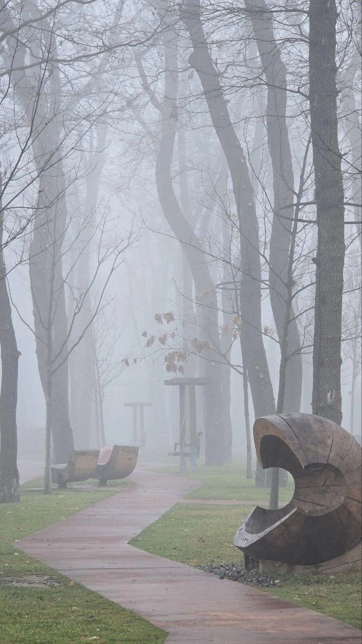Источник: park_oblakov_krd / T.me
