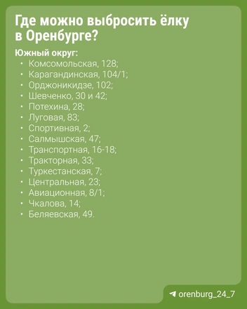 Источник: 56.RU / t.me