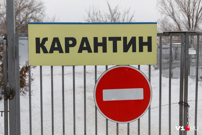 Территорию закрыли для посторонних | Источник: Алексей Волхонский / V1.RU