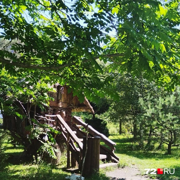 Источник: Алена Бучельникова