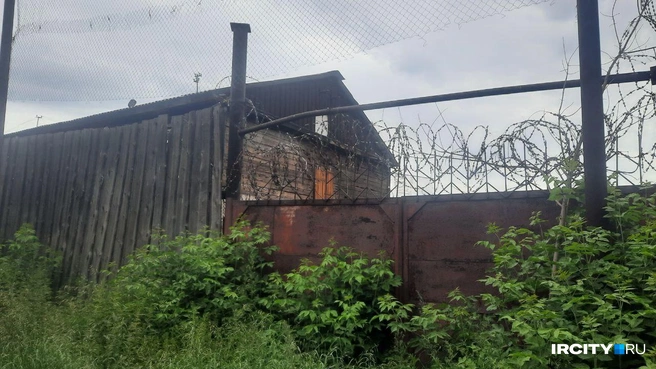 Многие местные жители уже привыкли к соседям, хотя и не теряют надежды, что когда-нибудь колонию уберут | Источник: Виктор Лучкин / «ИрСити»