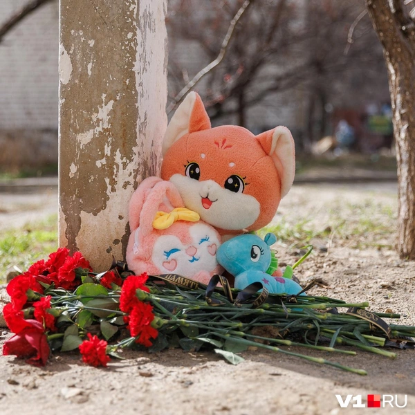 Конкретные причины страшной смерти девочек по-прежнему остаются неизвестны | Источник: Алексей Волхонский / V1.RU