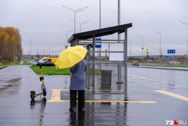 В районе Комарово парк находится конечная остановка 45 маршрута | Источник: Илья Чикотин / 72.RU
