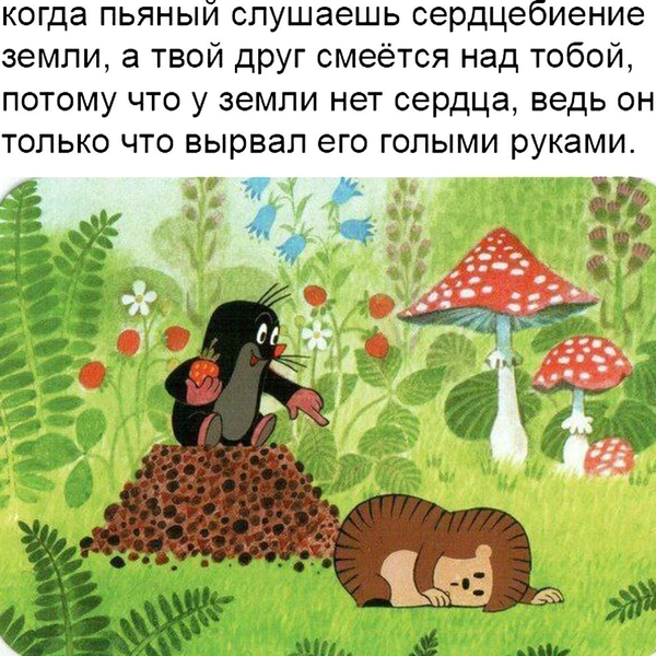 Источник: соцсети