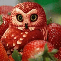 Аватарка mulckasheva-vladislava14