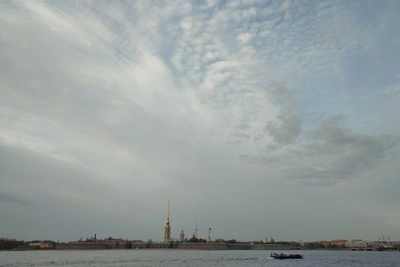 Вице-губернатор Петербурга — о качестве воздуха и гибридной войне