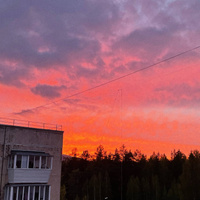 Аватарка пипися