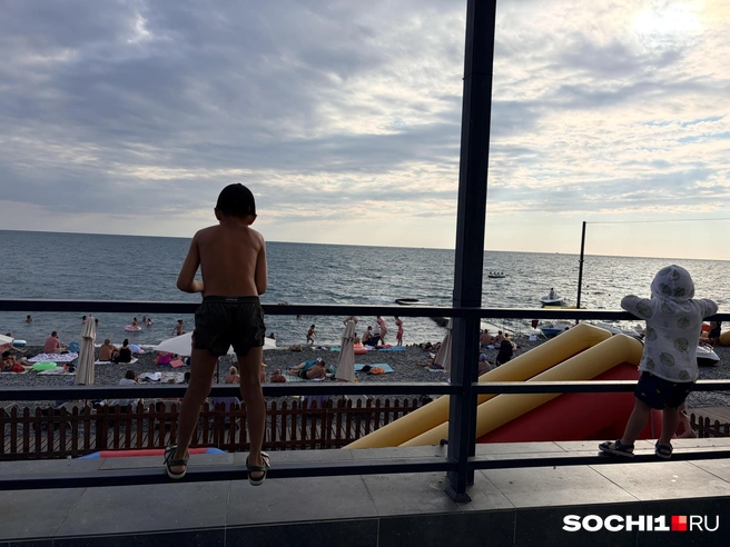 Источник: Анна Грицевич / SOCHI1.RU