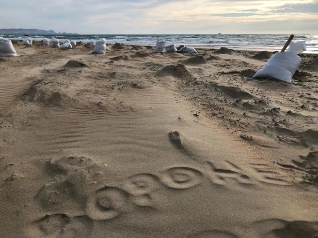 Группа волонтеров из Воронежа провела на побережье Черного моря три дня | Источник: Нина Долгомирова / личный архив