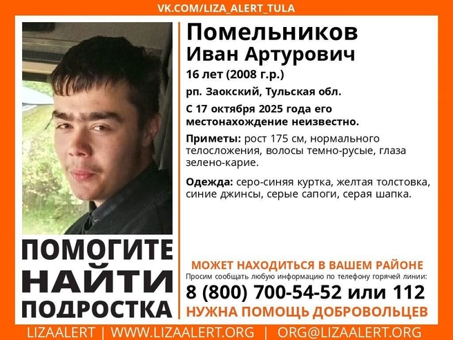 Ориентировка на пропавшего человека | Источник: Поисковый отряд «ЛизаАлерт» Тульской области / ВКонтакте