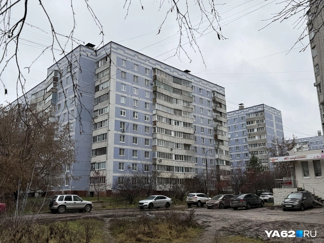 Недостоево — типичный советский спальный район, не лишенный собственного шарма | Источник: Сергей Петунин / YA62.RU